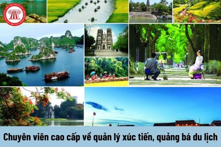 Chuyên gia Hotspot Matrix phân tích: Khung hình đọ sắc cực căng: và marketing video